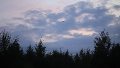 MVI 8951 Stock Footage 7763628