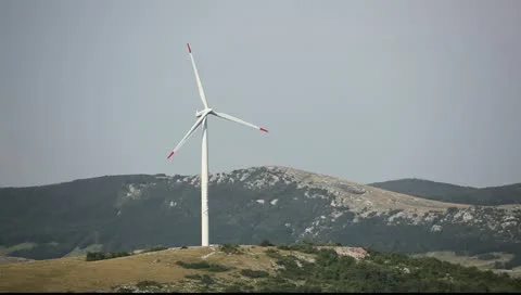 MVI 8951 Stock Footage 11324496