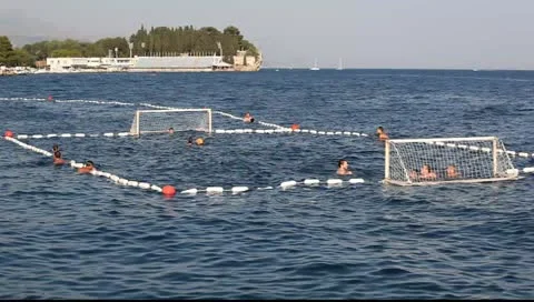 MVI 8983 Vídeos de archivo 11350269