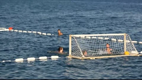 MVI 8984 Vídeos de archivo 11349155