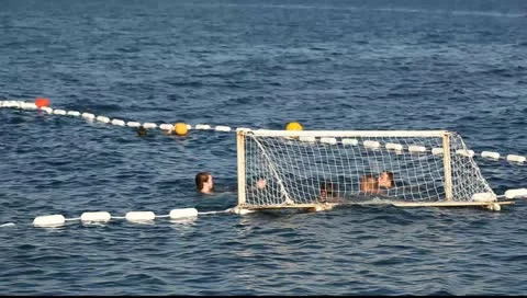 MVI 8985 Vídeos de archivo 11349007