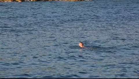 MVI 8988 Stock Footage 11348441