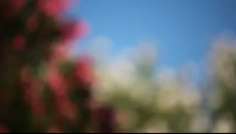 MVI 9003 Stock Footage 11344092