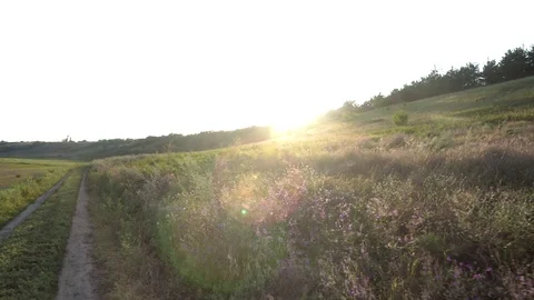 MVI 9361 Stock-Footage 118454188