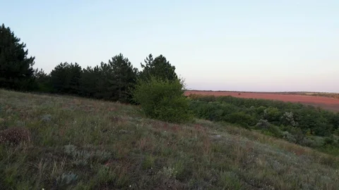 MVI 9368 10 Stock-Footage 118454834