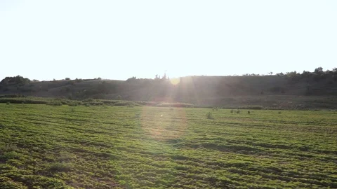 MVI 9368 2 Stock-Footage 118454207