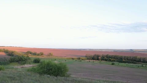 MVI 9368 9 Stock-Footage 118454642