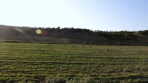 MVI 9368 Stock-Footage 118454280