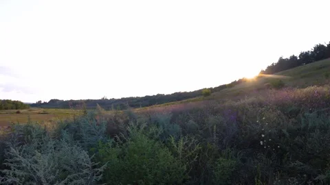 MVI 9374 Stock-Footage 118454750