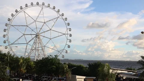 MVI 9416 動画素材 196188396