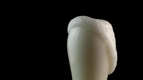 MVI 9552 1 Stock Footage 196111193