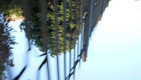 MVI 9695 Stock Footage 8600564