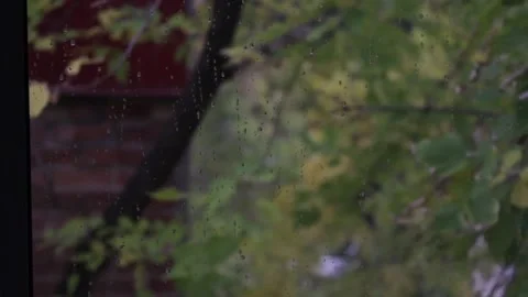 MVI 9792pond Stock-Footage 139601558