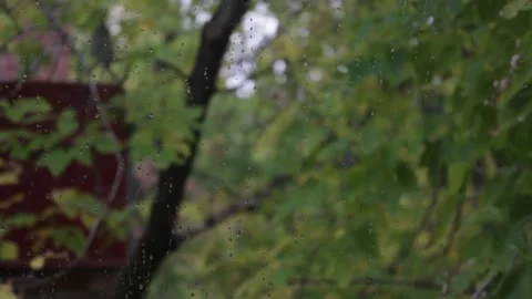 MVI 9793pond Stock-Footage 139601557