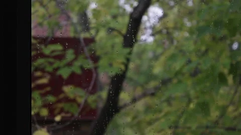 MVI 9794pond Stock-Footage 139601559