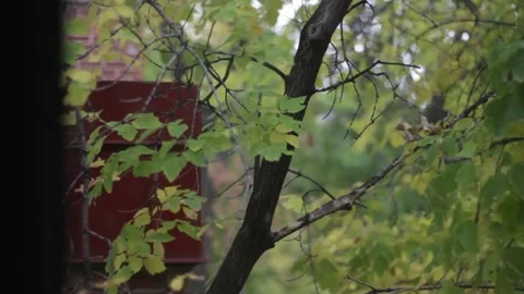 MVI 9796pond Stock-Footage 139601570