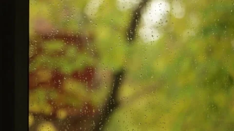 MVI 9799pond Stock-Footage 139601461