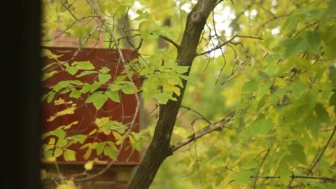 MVI 9800pond Stock-Footage 139601441