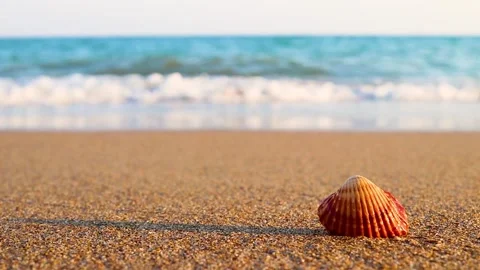 MVI 9804 Stock Footage 189512453