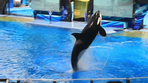 MVI_4283 Stock Footage 33327698