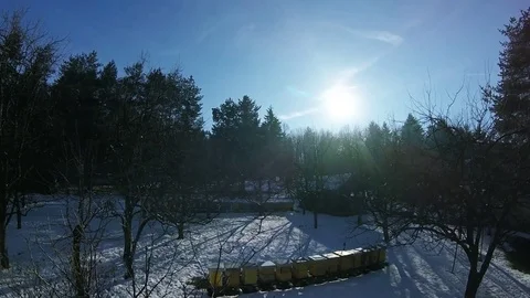 My apiary covered with snow-Timelapse Video stock 85054736