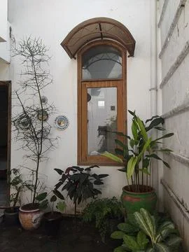 My Back Yard Foto stock