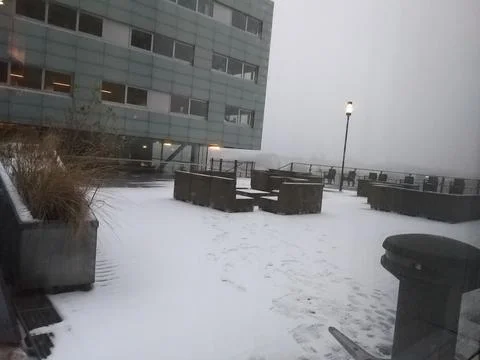 My backyard Stock Photos