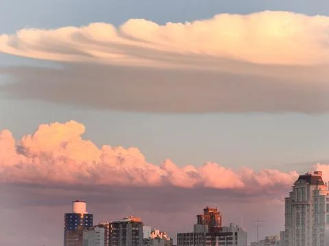 My Backyard Stock Photos