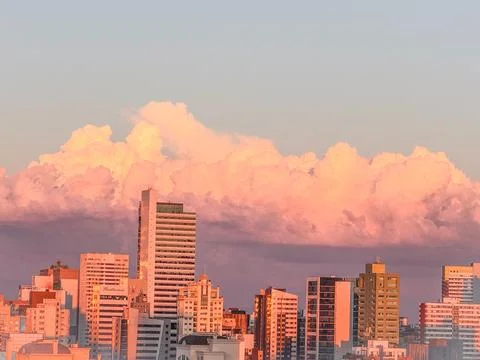 My Backyard Stock Photos