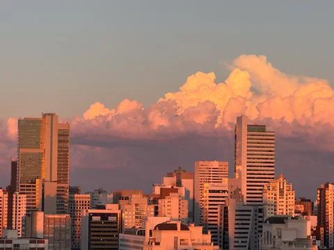 My Backyard Stock Photos