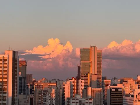 My Backyard Stock Photos