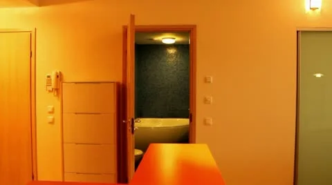 My bathroom Stock Footage 11892563