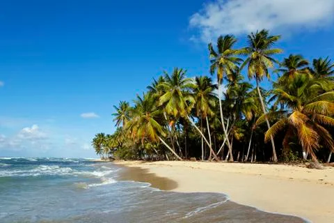 My beach Stock Photos