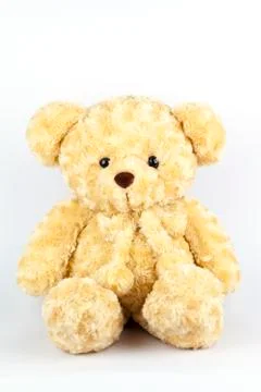 My bear Stock Photos