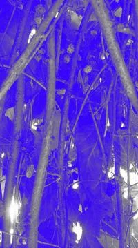 My blue world Stock Illustration