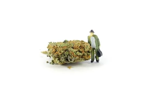 This Is My Bud Stock Photos