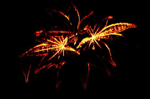 My burning flower Illustrazione stock