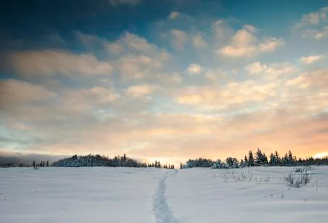 My chosen path Stock Photos