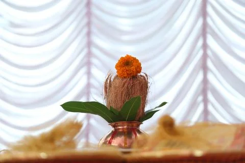 MY CLICKS Stock Photos