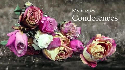 My condolences Stock Footage 297360562