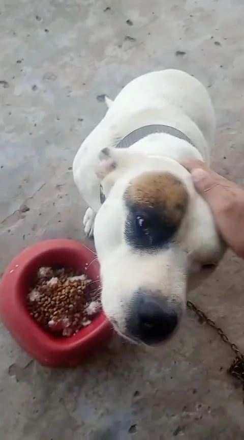 Song My My Stock Videos Royalty Free HD 4K Videos Song My My Stock Videos Royalty Free HD 4K Videos