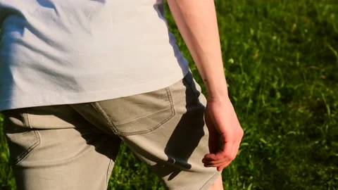 My field at sunset. Video stock 201243163