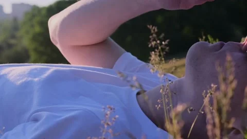 My field at sunset Video stock 201244428