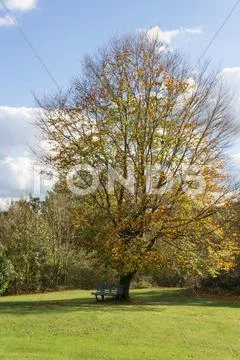 My friend the tree Stock Photos