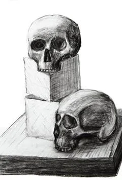My hand drawing lesson 4 human skull 스톡 일러스트