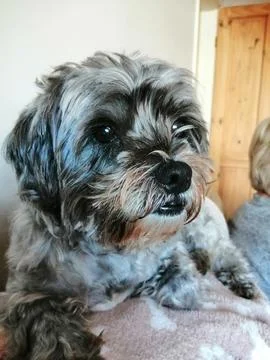 My Kizzy Stock Photos