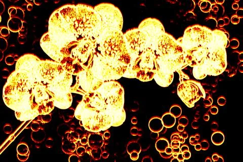 My orchids in the flame Illustrazione stock