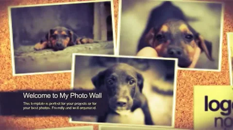 My Photo Wall Template Stock After Effects