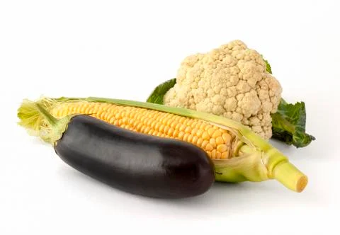 My template Stock Photos