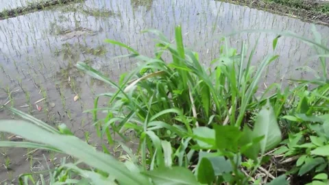 My Video 스톡 동영상 231239566